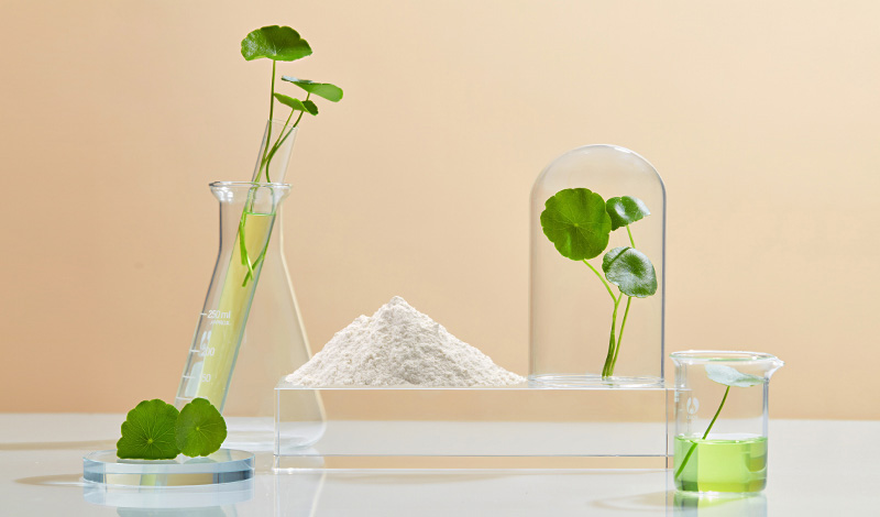 Givaudan Active Beauty introduces Centella CAST, an active cosmetic ingredient that naturally
reduces the appearance of stretch marks