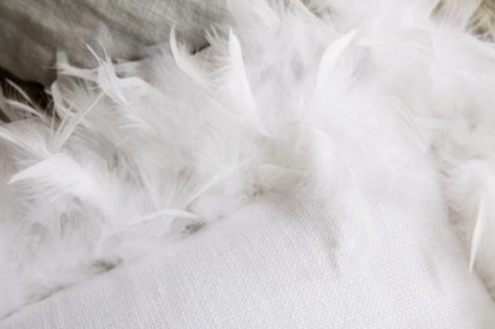 Givaudan Active Beauty outpaces the market by leveraging biotech to offer the purest (-)-α-bisabolol