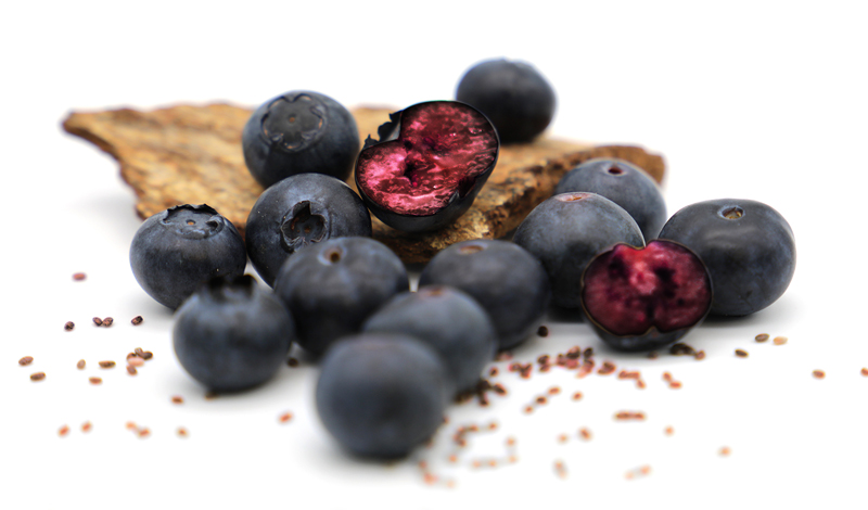Givaudan Active Beauty presents Omegablue, an upcycled ingredient dedicated to skin repair

