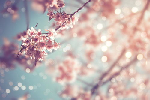 Givaudan Active Beauty unveils exclusive perfumed 3D flowers