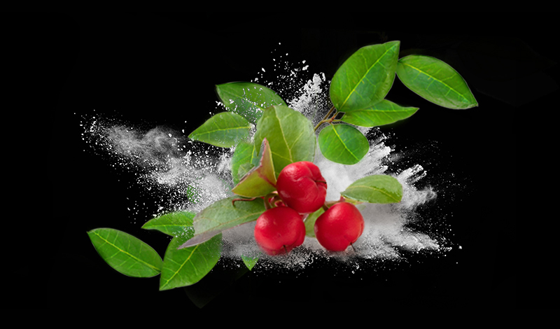 Givaudan Active Beauty unveils Neosalyl, a fully natural and pure substitute for synthetic salicylic acid for skin and scalp
