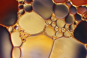 Givaudan and Nikko Chemicals grab gold at in-cosmetics Asia
