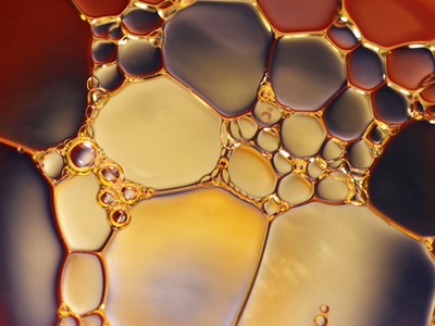 Givaudan and Nikko Chemicals grab gold at in-cosmetics Asia
