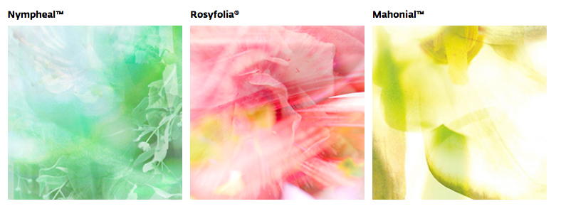 Givaudan celebrates innovation in naturals and synthetics
