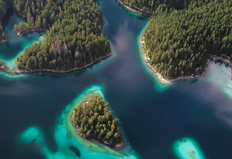 Givaudan debuts two new nature-inspired fragrance technologies 
