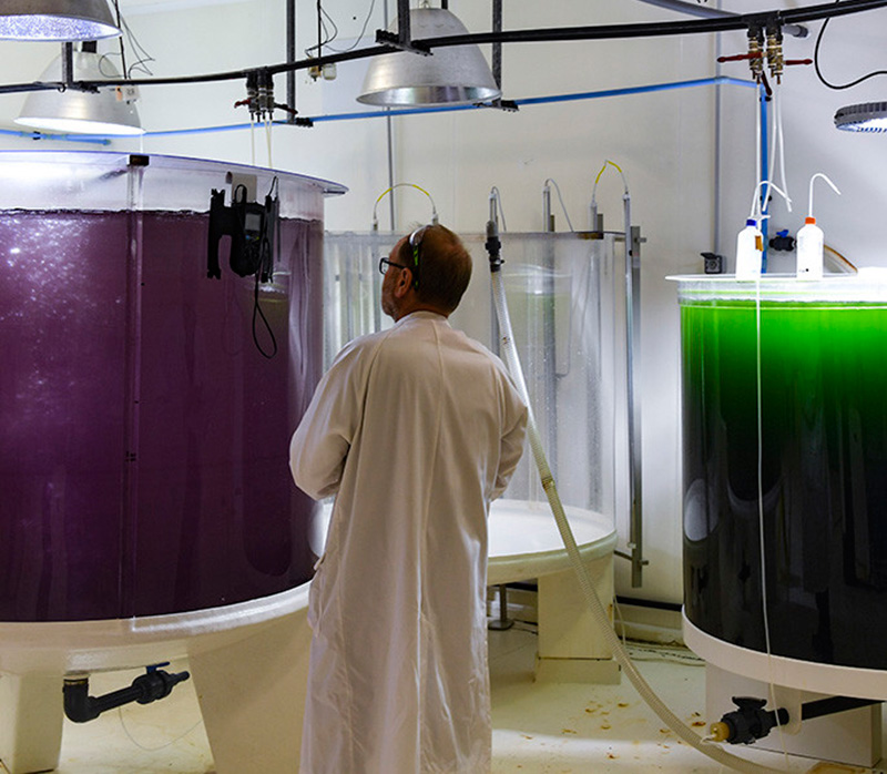 Givaudan unveils new ingredient, Sensityl