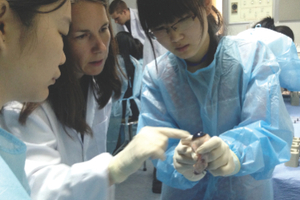 Global C&T industry moves away from animal testing 