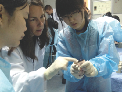 Global C&T industry moves away from animal testing 