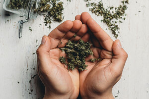 Global CBD regulations: High time for change
