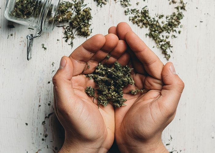 Global CBD regulations: High time for change