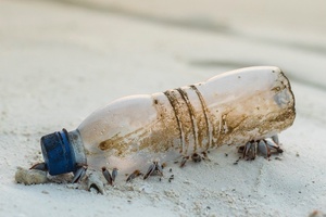 Global plastic waste on track to triple by 2060 
