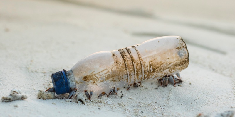 Global plastic waste on track to triple by 2060 
