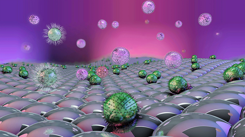 Gobiotics BV will present new research about how its prebiotics at in-cosmetics Global