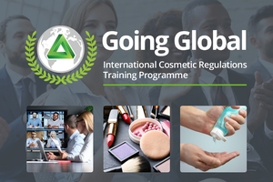 Going Global Training Programme