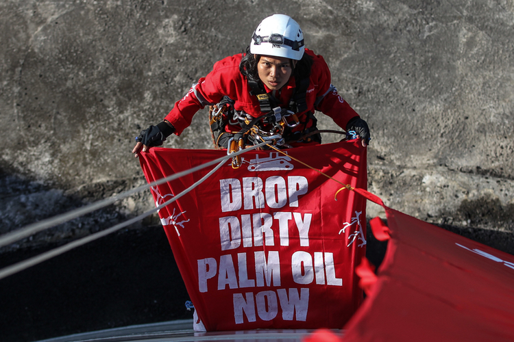 Greenpeace occupies Unilever's 'dirty' palm oil supplier 