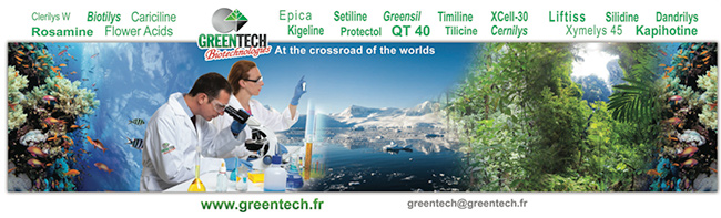 GREENTECH at the crossroad of the worlds