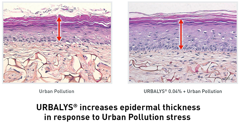 Greentech develops global anti-pollution active Urbalys