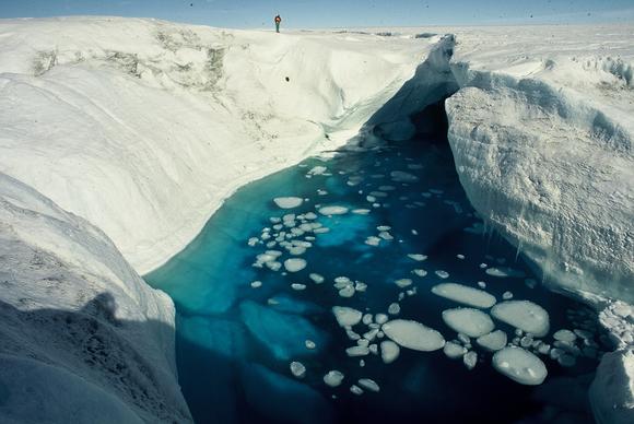 Greentech to research extremophiles on polar expedition