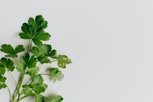 Growing underground: How deep farms can benefit beauty 
