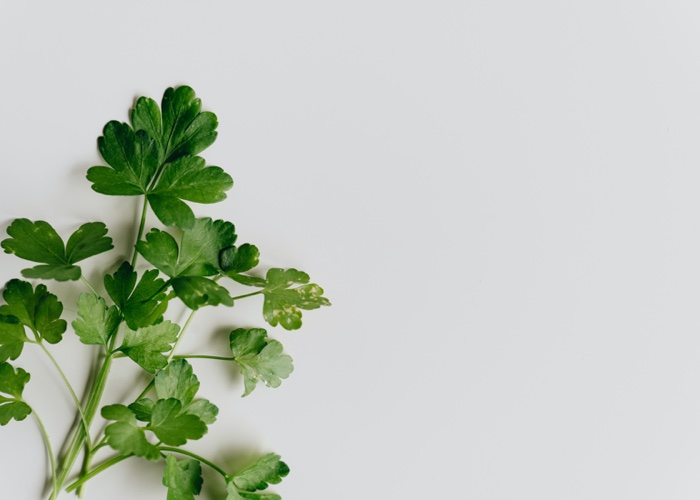 Growing underground: How deep farms can benefit beauty 
