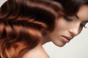 Hair care ingredients for tip top conditioning
