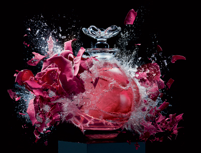 Harrods announces Fragrance Explosion

