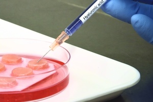 Henkel extends lifespan of human skin tissue models 
