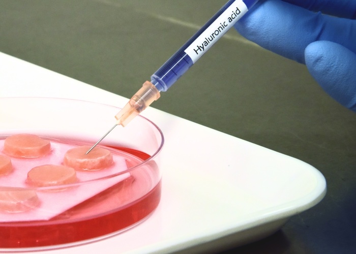 Henkel extends lifespan of human skin tissue models 

