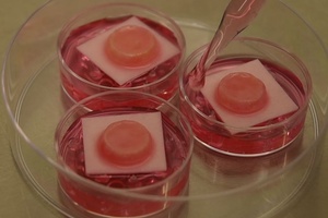 Henkel skin model is basis of new genotoxicity test 