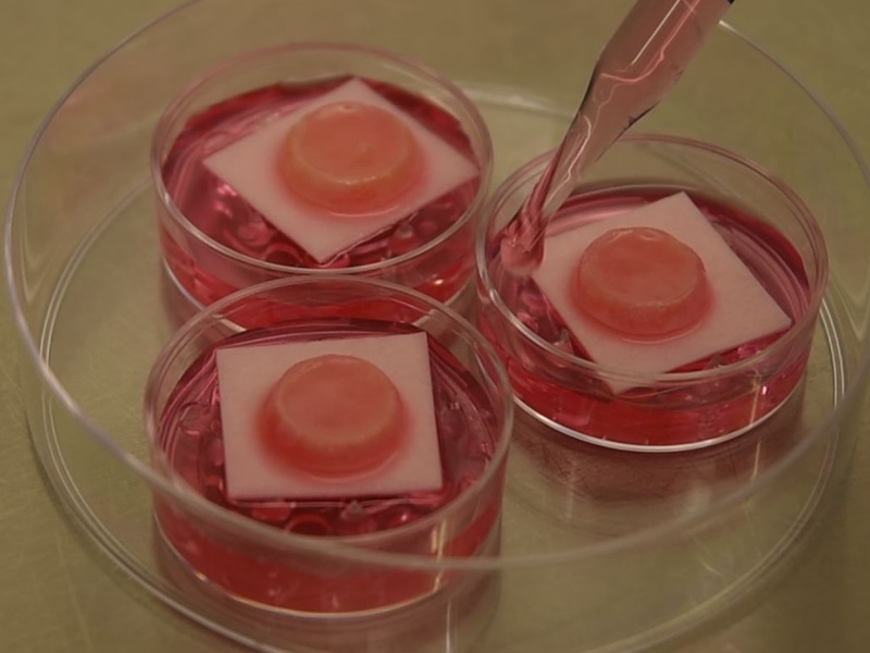 Henkel skin model is basis of new genotoxicity test 