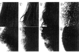 Here2grow diversity of hair