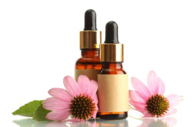 High-quality CO2 extracts from Echinacea purpurea root