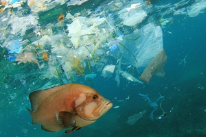 Holland & Barrett ditches wet wipes in fresh sustainability push