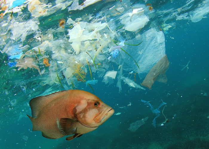 Holland & Barrett ditches wet wipes in fresh sustainability push