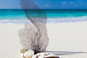 Honeywell and Metabolix offer marine biodegradable polymers