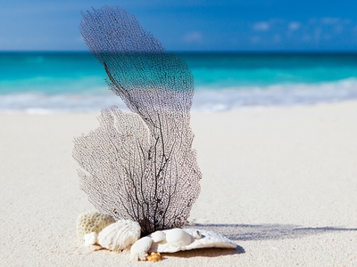 Honeywell and Metabolix offer marine biodegradable polymers