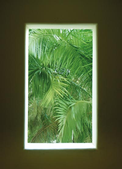 Hothouse for naturals
