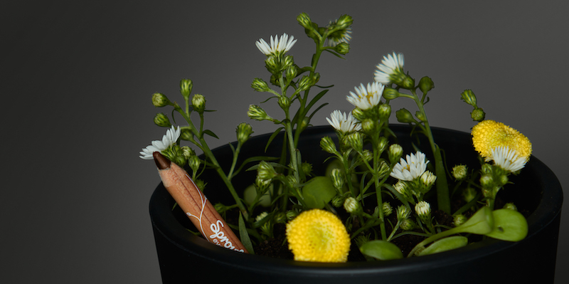 Why prioritising regenerative beauty practices has never been more crucial