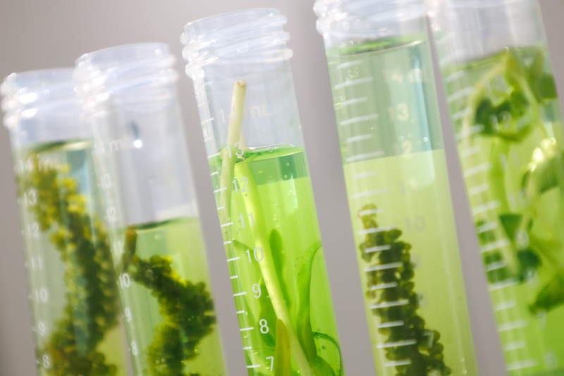 How biotechnology is reshaping the beauty supply chain