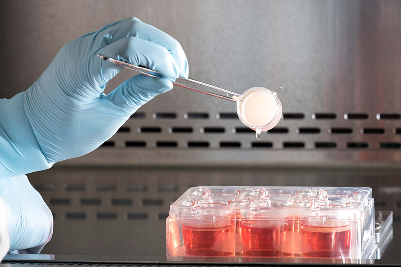 How does Labskin compare to other 3D human skin models?