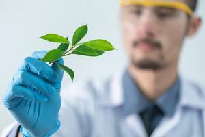 How hyper-certification is affecting the natural beauty sector