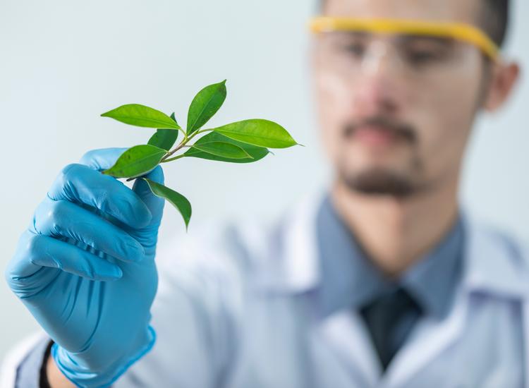How hyper-certification is affecting the natural beauty sector