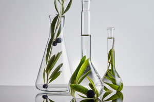 How skin care hero ingredient Phytosqualan ticks all green chemistry boxes
