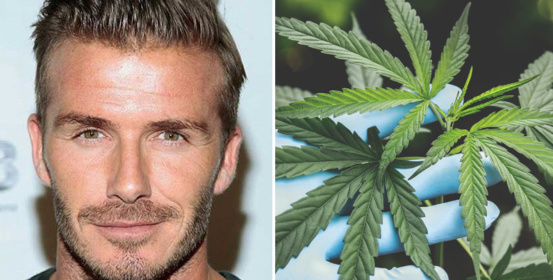 How the new regulations on CBD will impact cosmetics 
