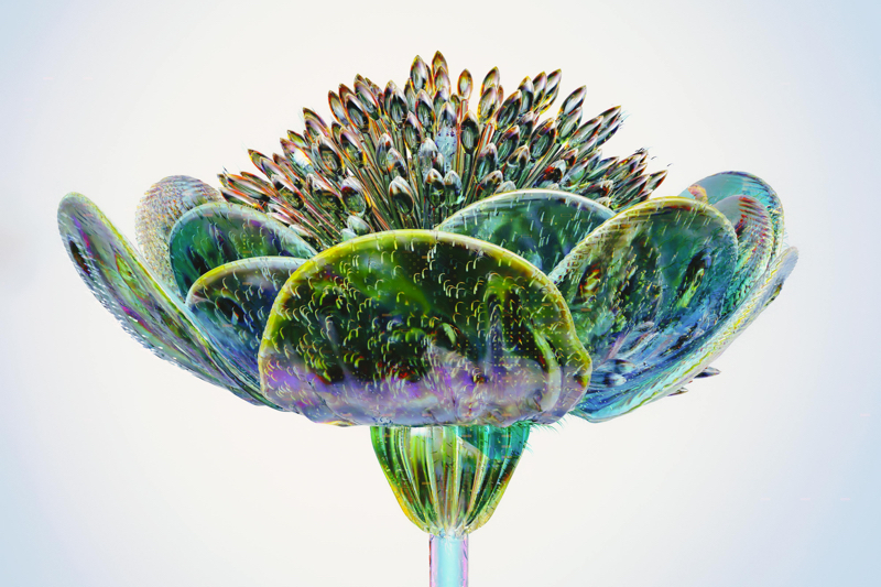 How to create an AI fragrance