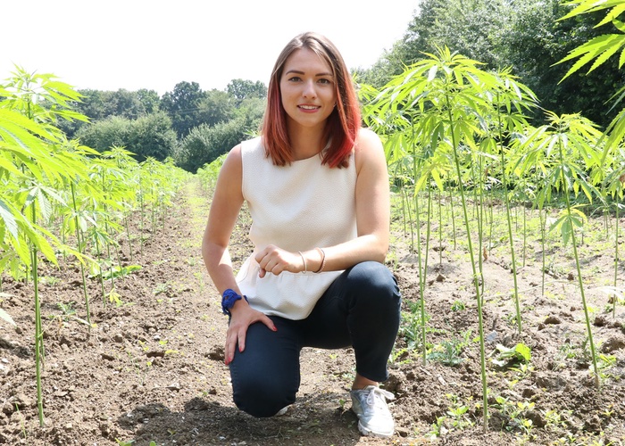 How to tap the demand for Cannabis beauty