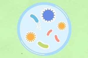 How to test for Microbiome-friendly certification
