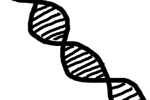 Hyris and Indena partner on genomic technology