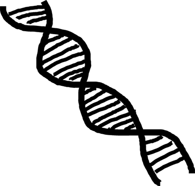 Hyris and Indena partner on genomic technology
