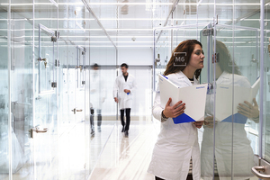 Iberchem Group announces record year with 19% growth in revenues 